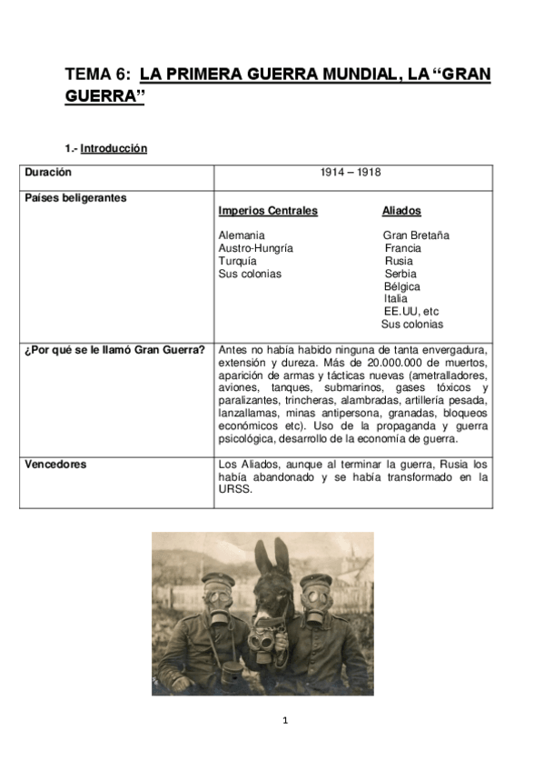 Miniatura del documento 6.pdf