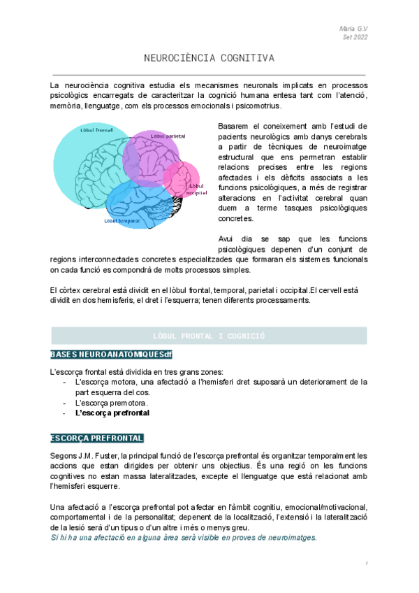 Miniatura del documento NEUROCIENCIA-COGNITIVA.pdf