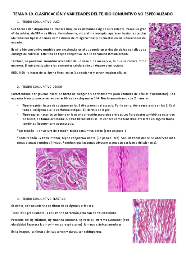 Miniatura del documento T9-10.pdf