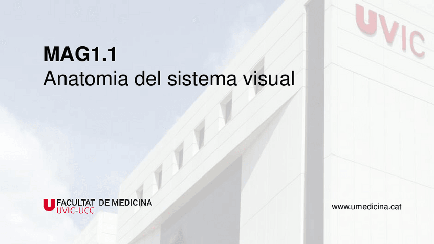 Miniatura del documento M1.pdf