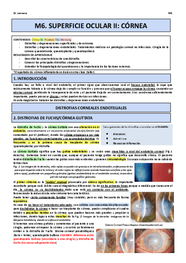 Miniatura del documento M6.pdf