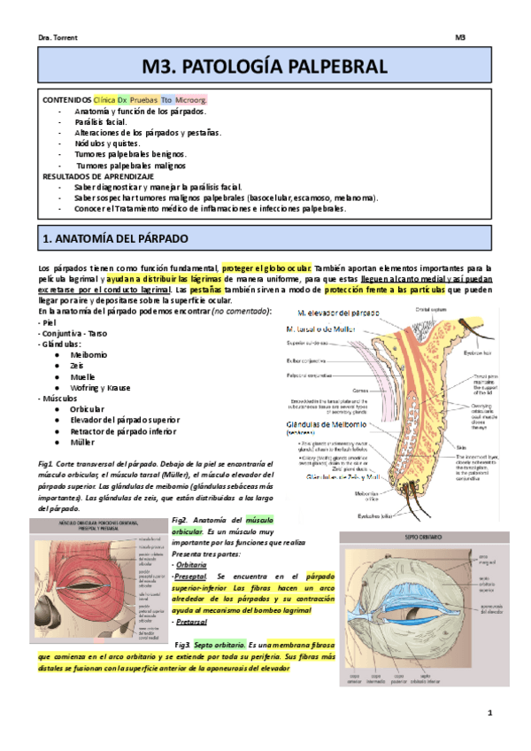 Miniatura del documento M3.pdf