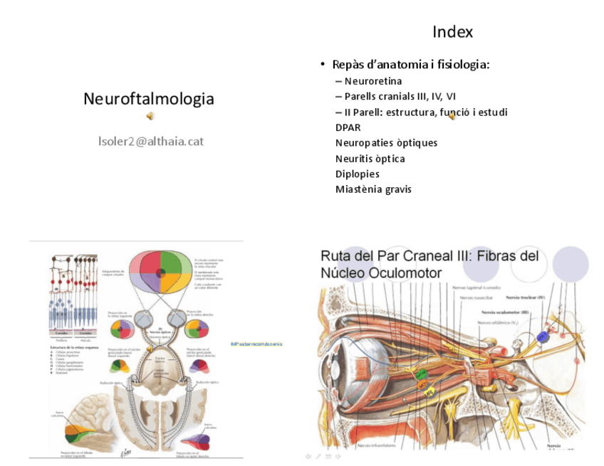 Miniatura del documento M15.pdf