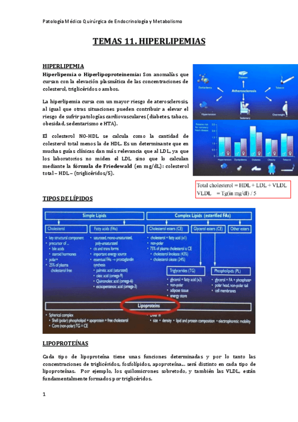 Miniatura del documento tema-11-dislipemias1-2-rev.pdf