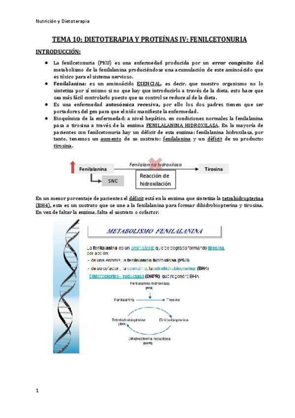 Miniatura del documento tema-10-enilcetonuriarev.pdf