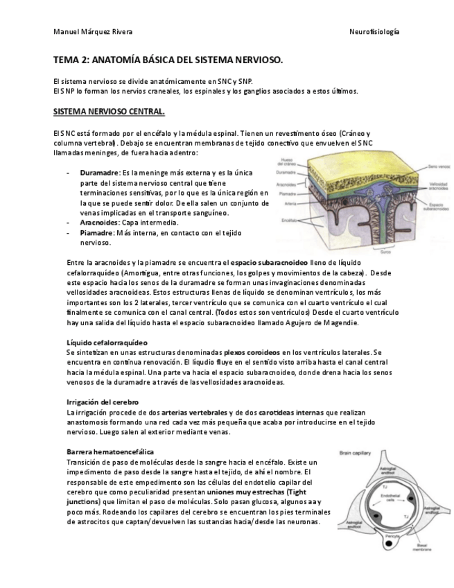 Miniatura del documento Tema 2.pdf