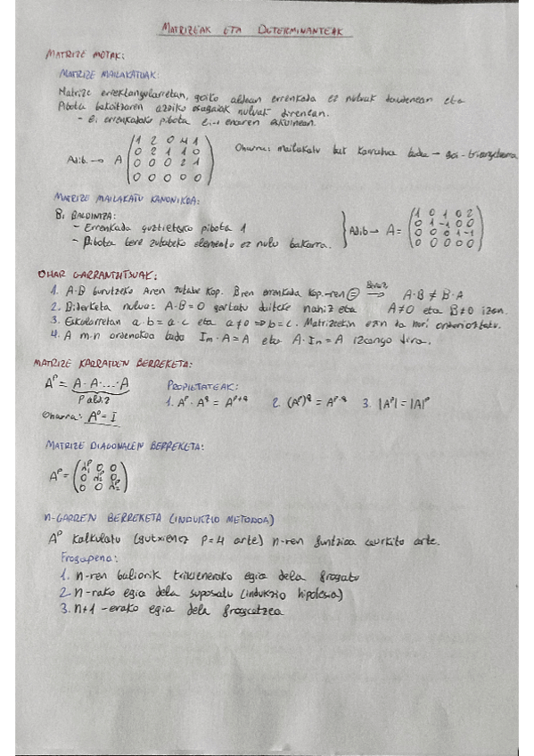 Miniatura del documento PDF-Scanner-19-10-22-1.pdf
