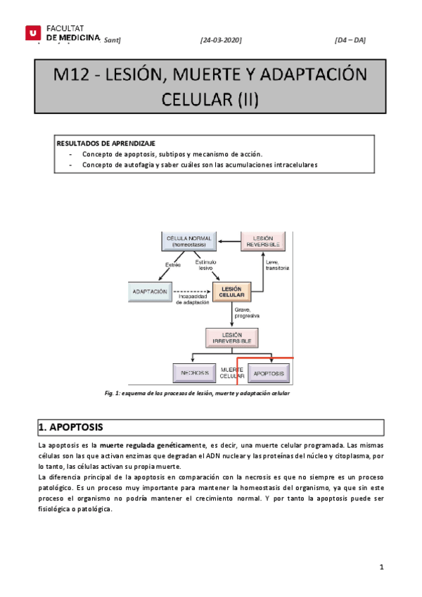 Miniatura del documento M12.pdf