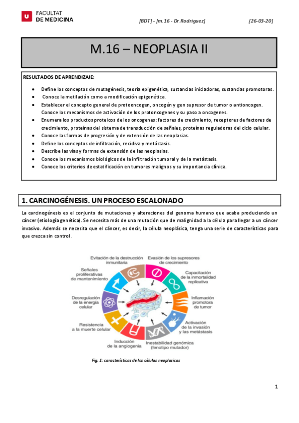 Miniatura del documento M16-Neoplasia-II.pdf
