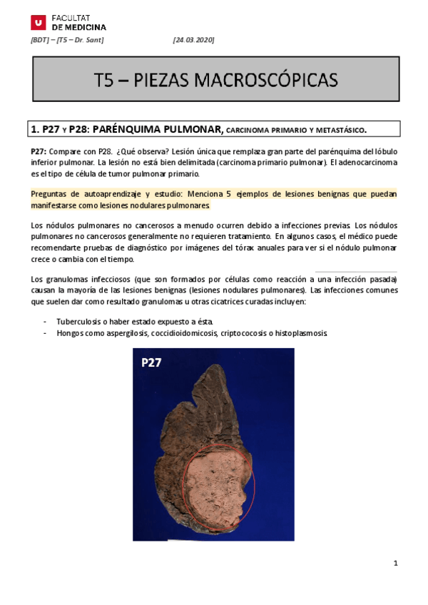 Miniatura del documento T5.pdf
