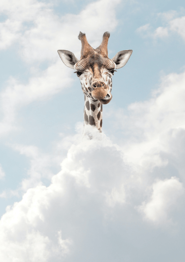 Miniatura del documento GemaDomingoGarciaFigurasRetoricasPublicitarias.pdf