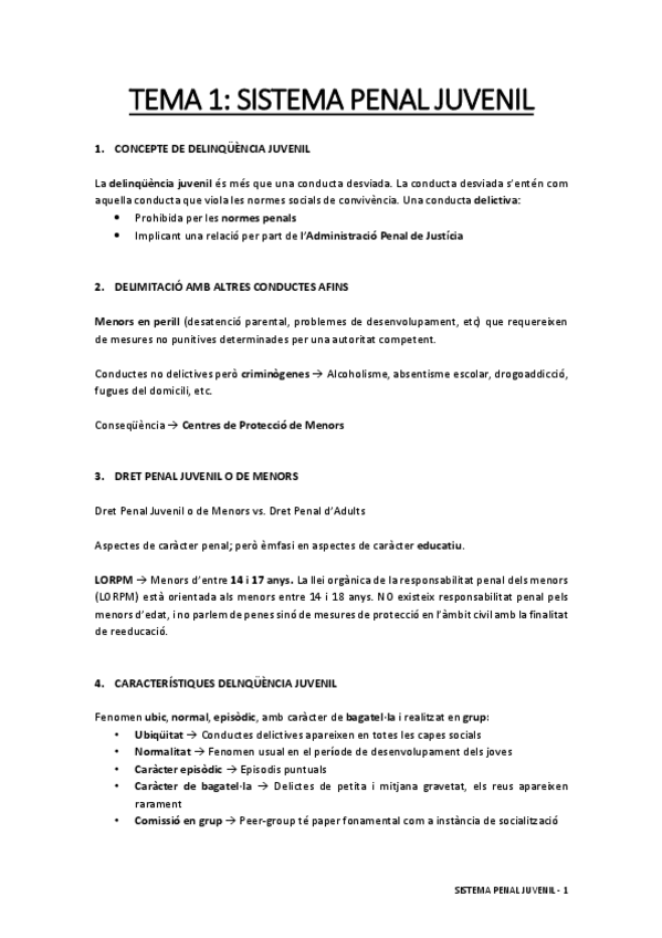 Miniatura del documento Sistema-Penal-Juvenil-Tema-1.pdf