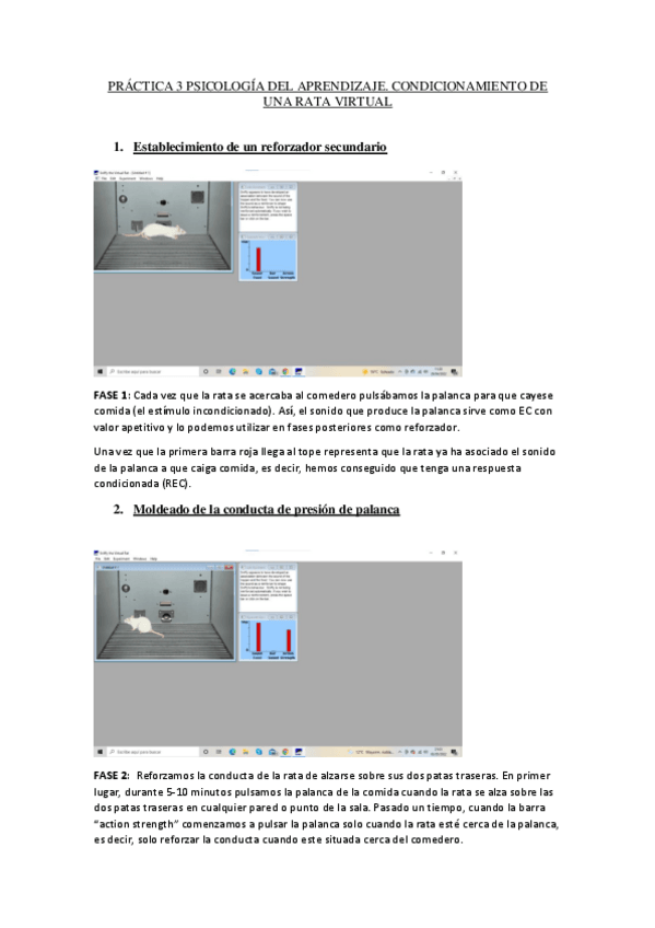 Miniatura del documento rata-sniffy-1.pdf