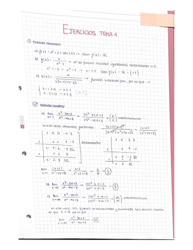 Miniatura del documento MIQUELRIUS.pdf