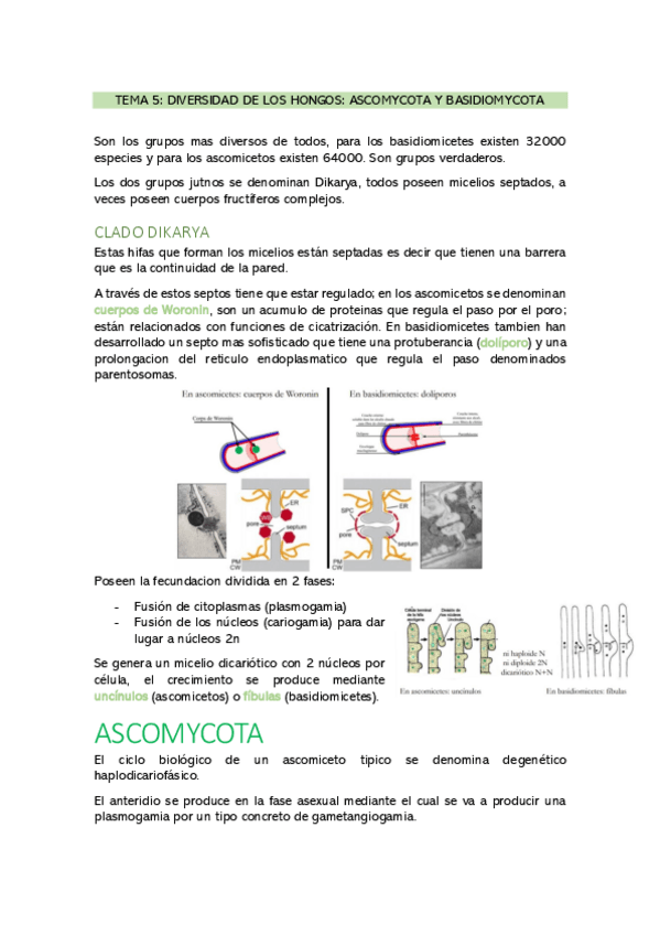 Miniatura del documento ASCOMYCOTA-Y-BASIDIOMYCOTA-5.pdf