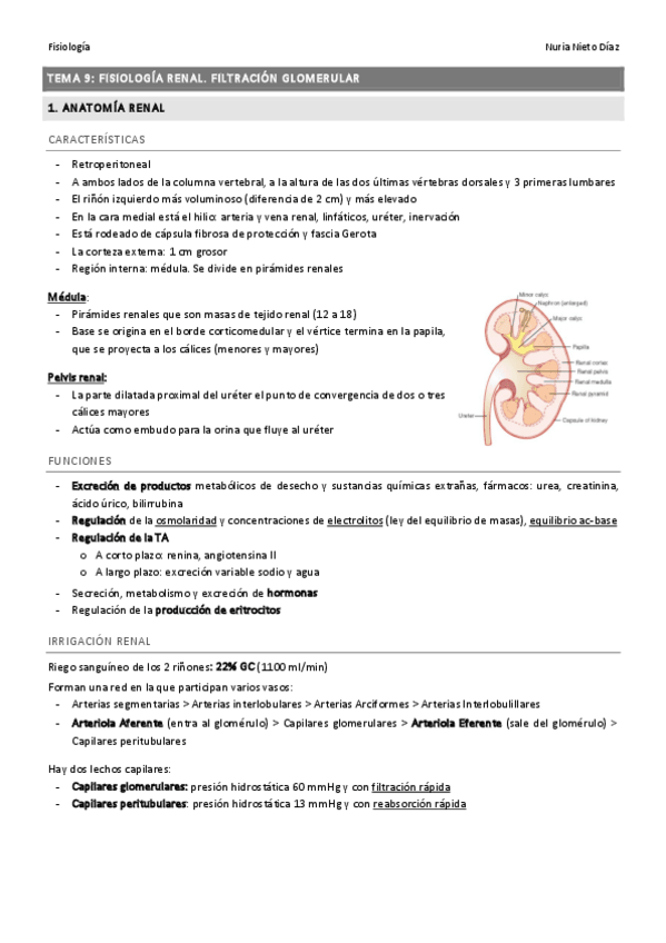 Miniatura del documento TEMA 9 - Filtración glomerular