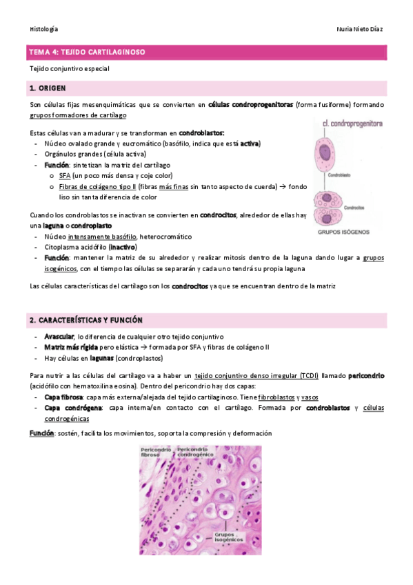 Miniatura del documento TEMA-4-Tejido-cartilaginoso.pdf
