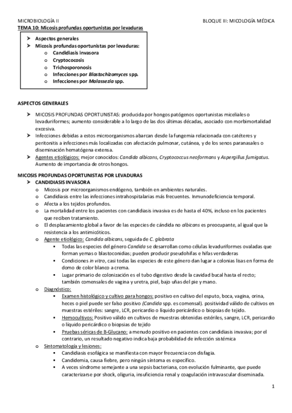 Miniatura del documento TEMA-10.pdf