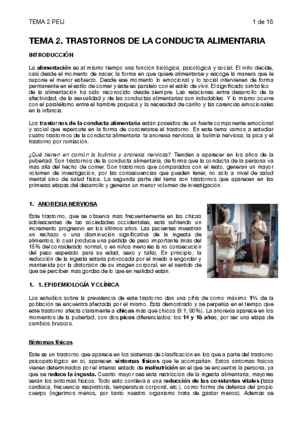 Miniatura del documento TEMA-2-PEIJ.pdf