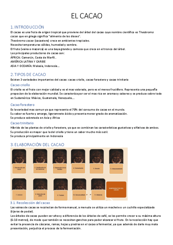 Miniatura del documento tema-12-el-cacao.pdf