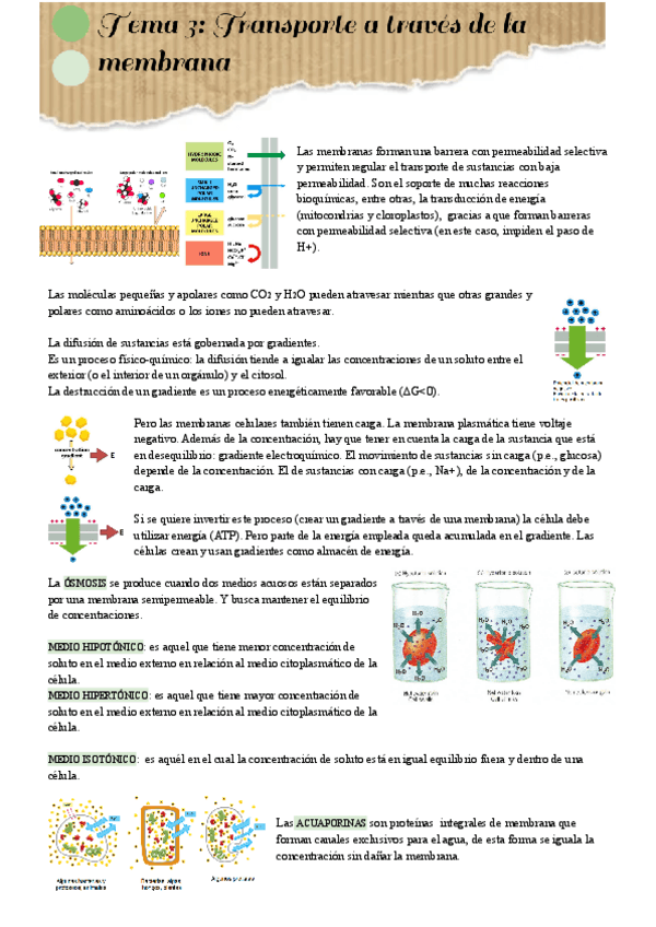 Miniatura del documento Tema-3.pdf