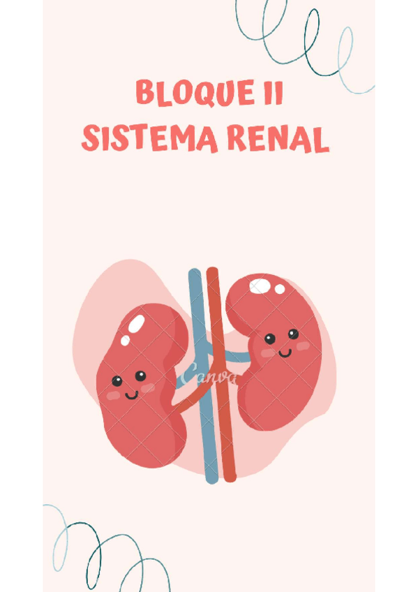 Miniatura del documento BLOQUE-2-RENAL.pdf
