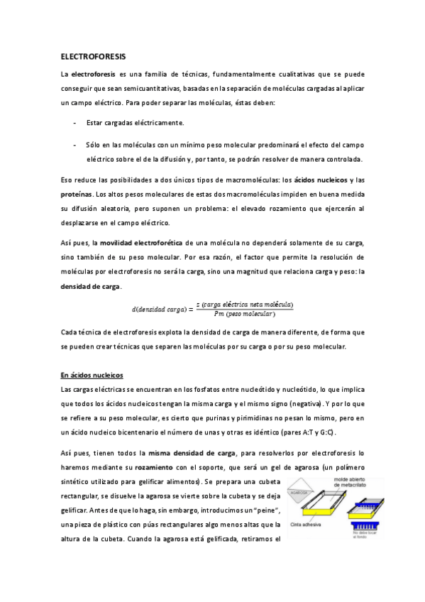 Miniatura del documento ELECTROFORESIS.pdf