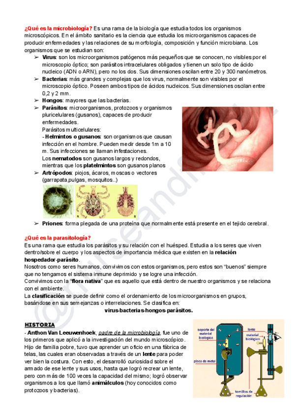 Miniatura del documento Microbiologia-y-parasitologia-RESU.pdf