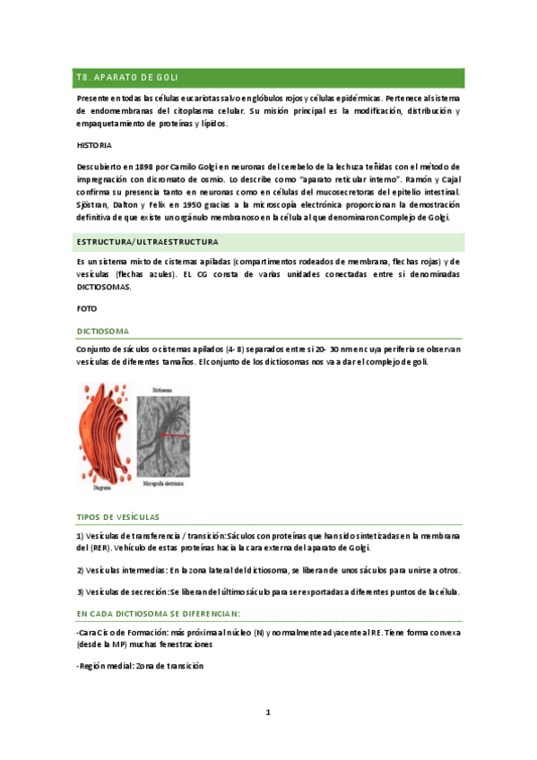 Miniatura del documento Apuntes-bio-celular-II-pdf.pdf