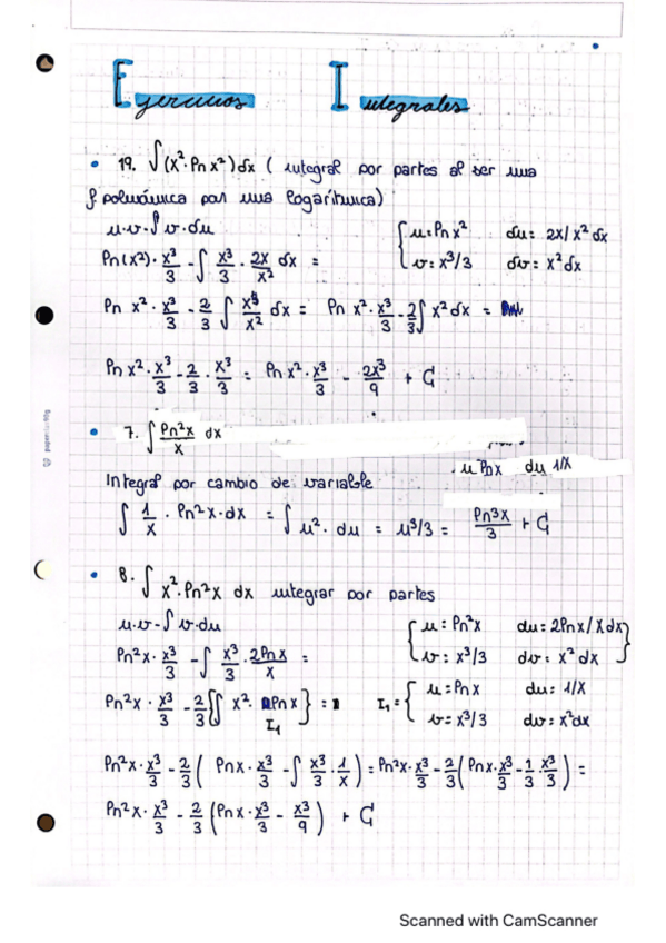 Miniatura del documento Liova-Perez-integrales-.pdf