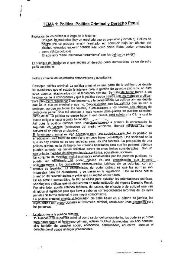 Miniatura del documento ApuntesPoliticaCriminal.pdf