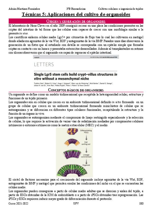 Miniatura del documento Tecnicas-5.pdf