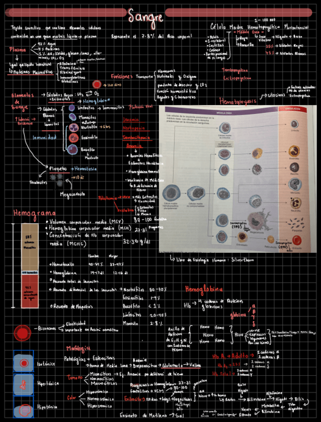 Miniatura del documento Sangre.pdf