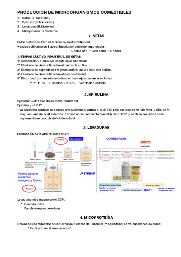 Miniatura del documento 6.pdf