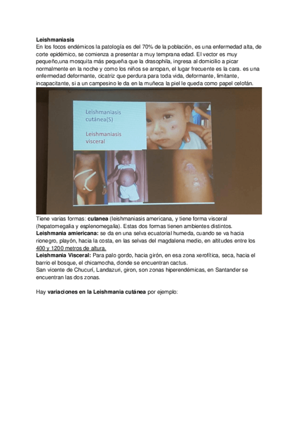 Miniatura del documento 8.pdf