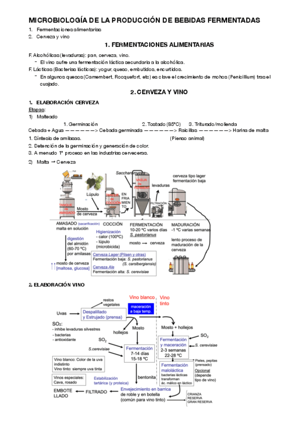 Miniatura del documento 9.pdf