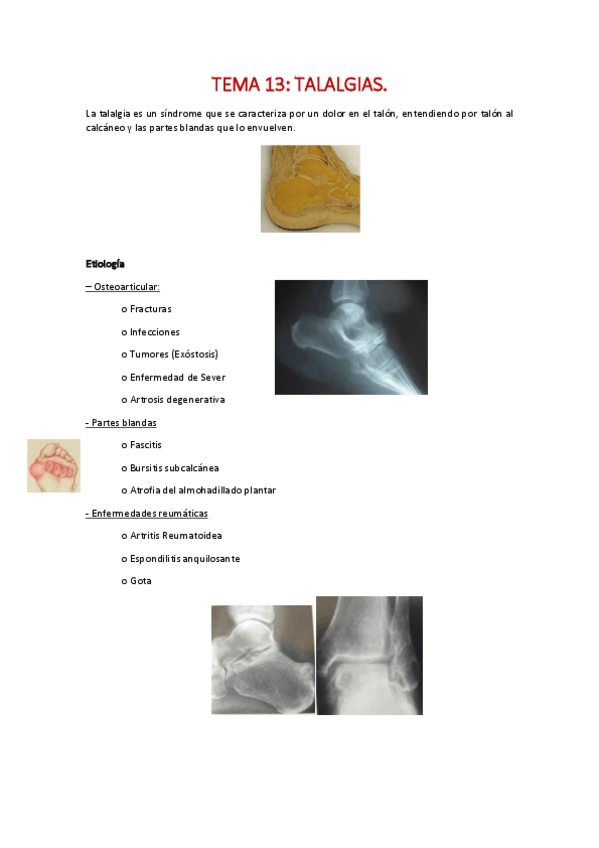 Miniatura del documento Unidad-4-Palomo.pdf