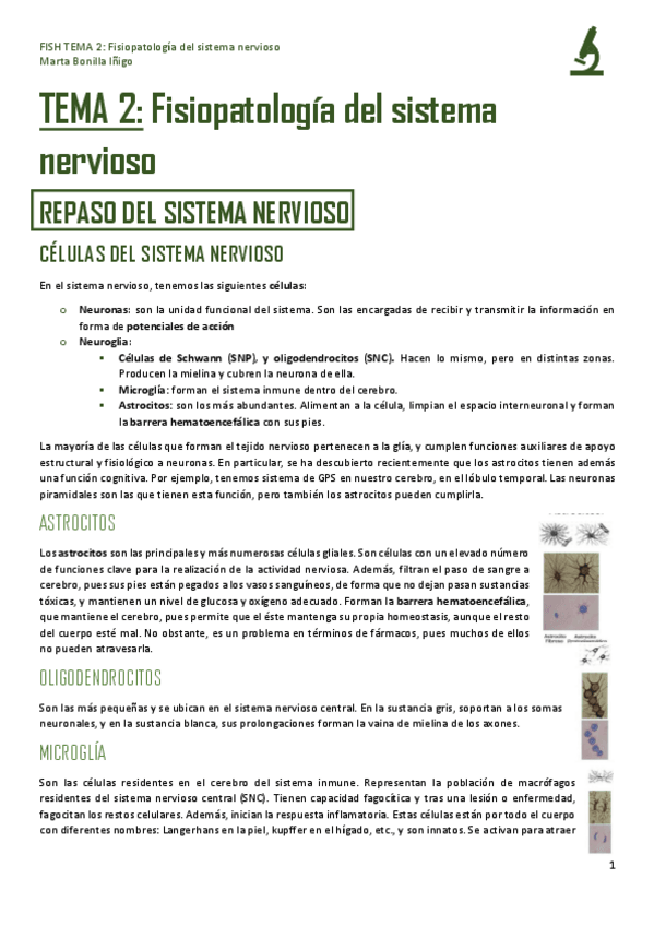 Miniatura del documento FISH-TEMA-2-FISIOPATOLOGIA-DEL-SISTEMA-NERVIOSO.pdf
