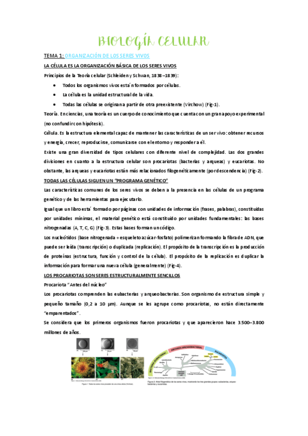 Miniatura del documento tema-1-pdf.pdf