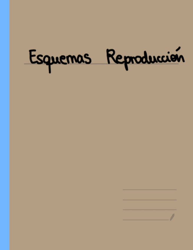 Miniatura del documento Esquemas-Reproduccion-.pdf