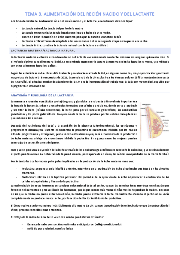 Miniatura del documento T3.pdf