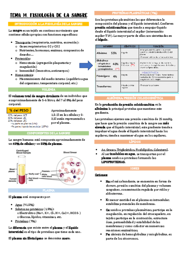 Miniatura del documento 2oParcial-Fisiologia.pdf