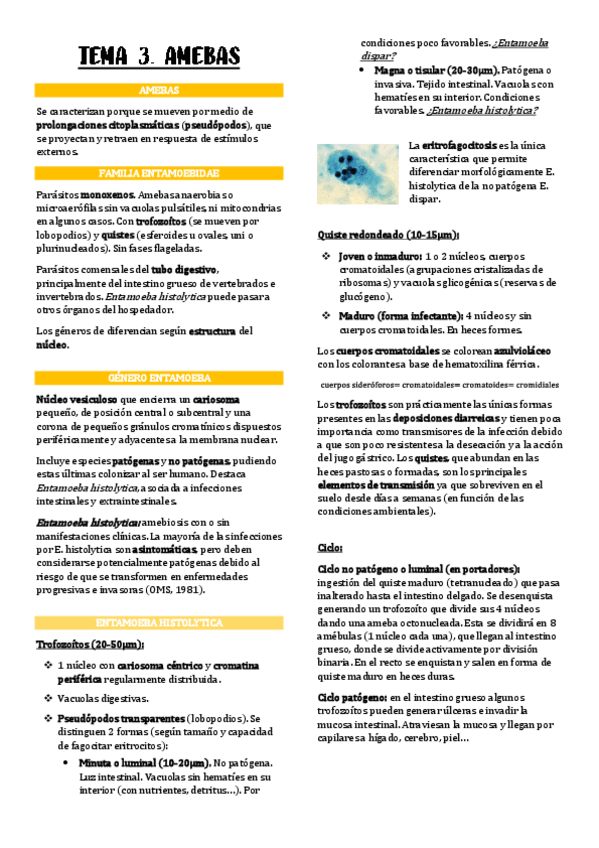 Miniatura del documento Tema-3-12.pdf