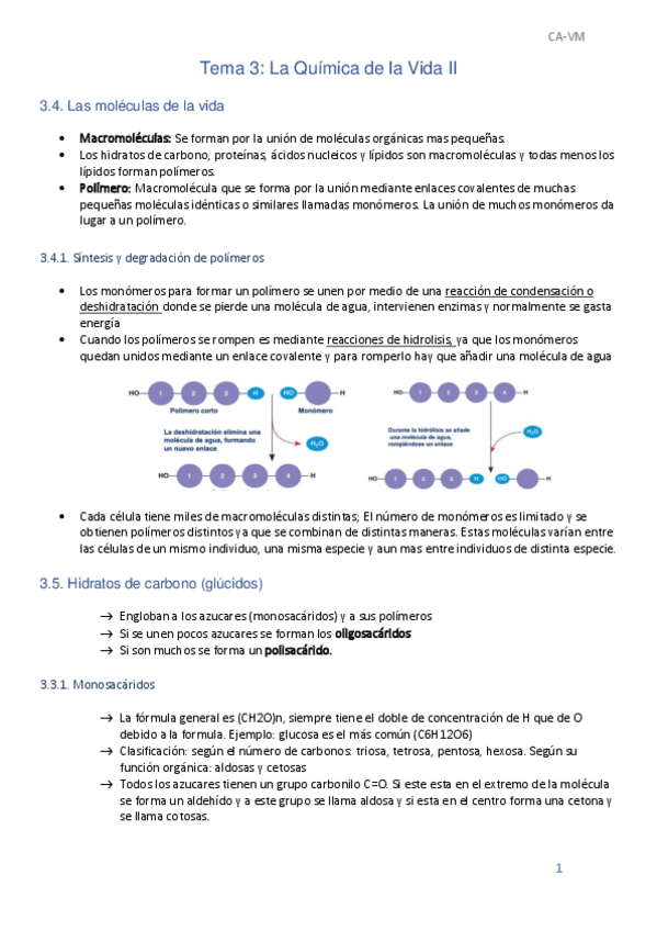 Miniatura del documento T3-II-Biologia.pdf