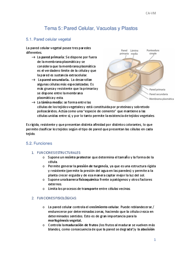 Miniatura del documento T5-Biologia.pdf