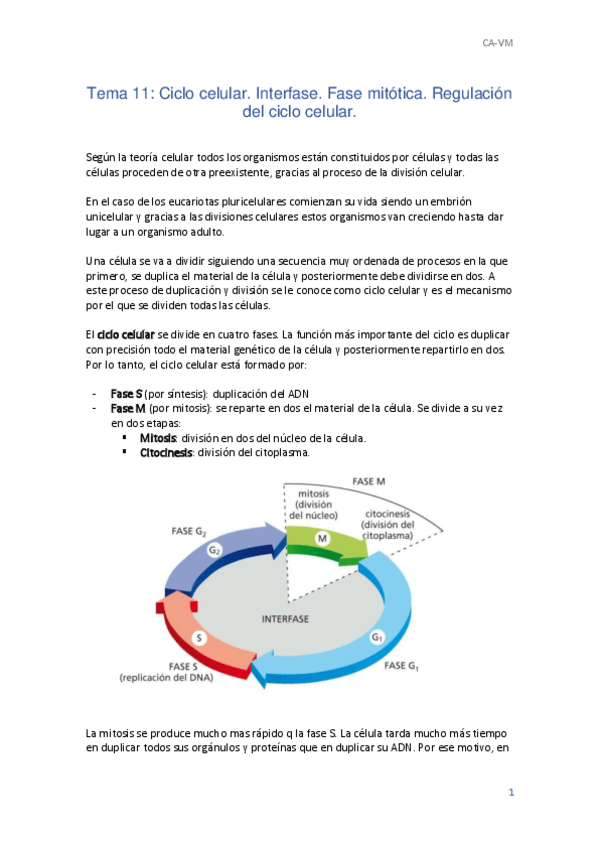 Miniatura del documento T11-Biologia.pdf