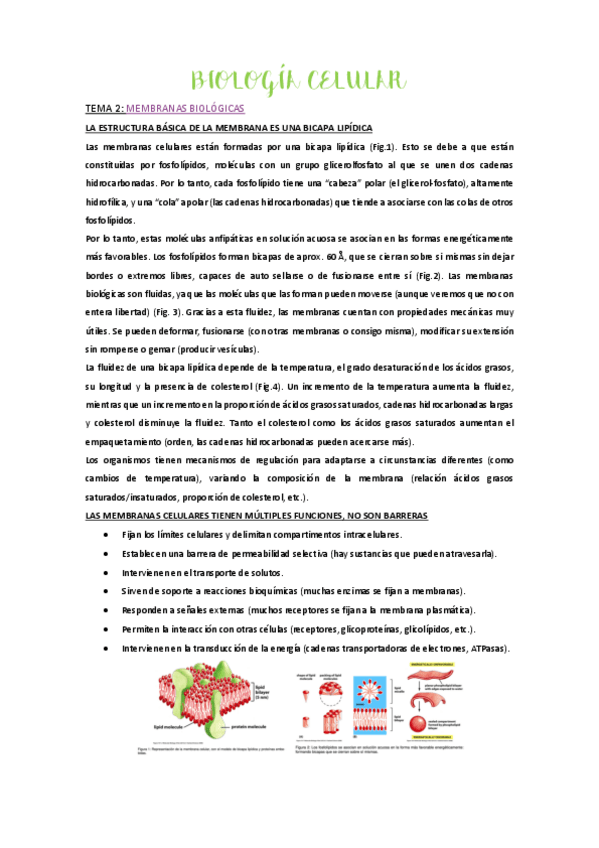 Miniatura del documento tema-2-pdf.pdf