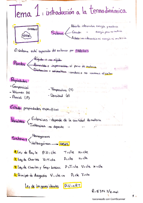 Miniatura del documento Apuntes.pdf