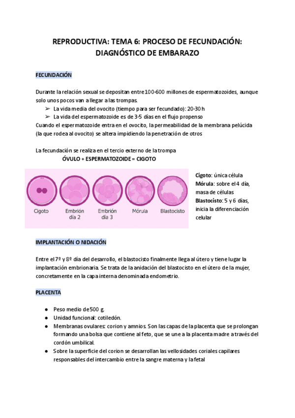 Miniatura del documento REPRODUCTIVA-TEMA-6-PROCESO-DE-FECUNDACION-DIAGNOSTICO-DE-EMBARAZO.pdf