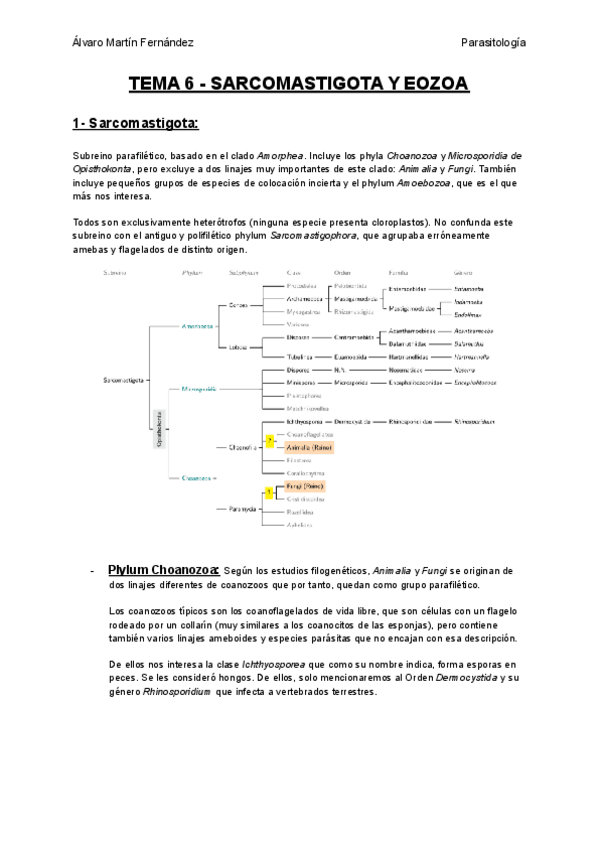 Miniatura del documento TEMA-6-SARCOMASTIGOTA-Y-EOZOA.pdf